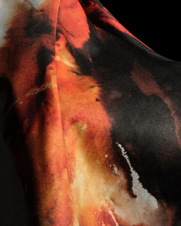 赛场上的贡 赛场上的贡