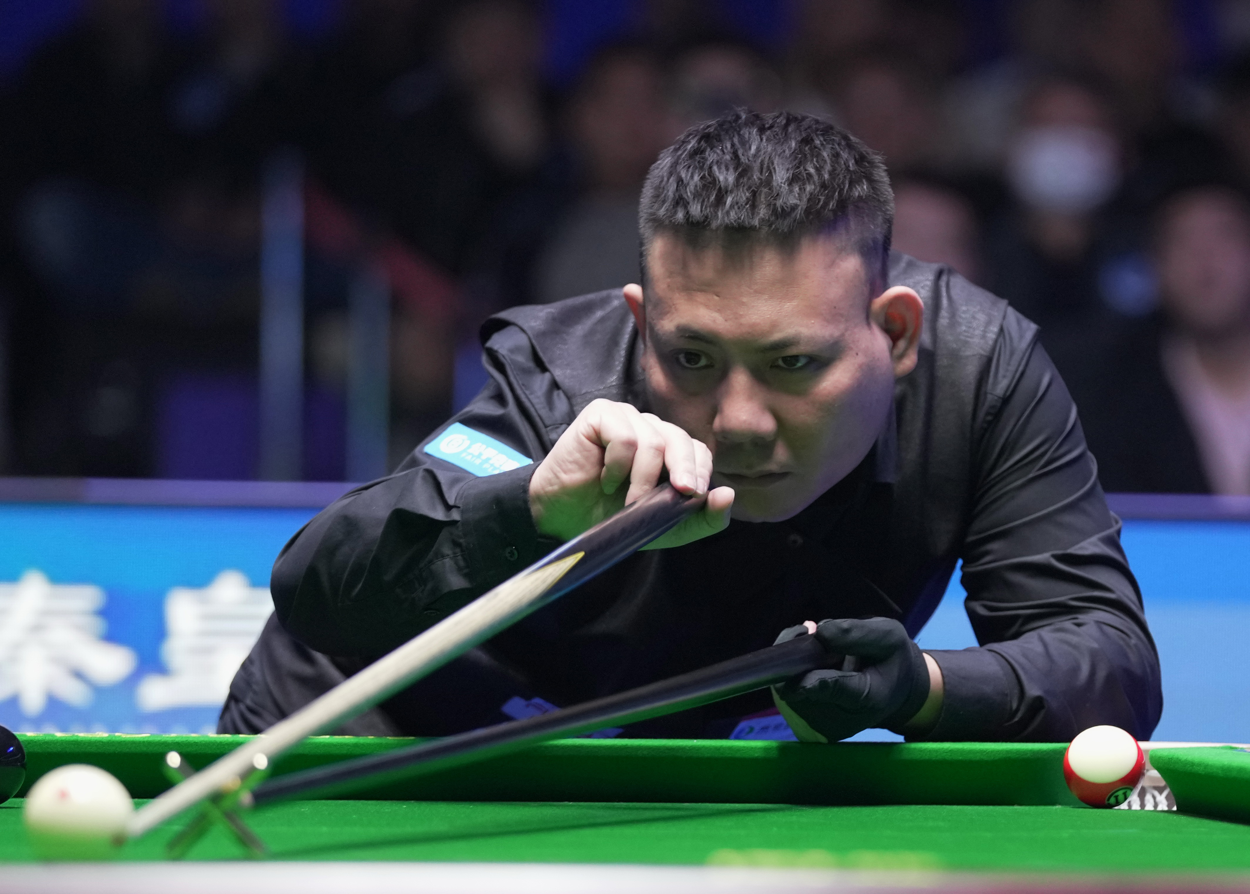 正因这些应 正因这些应